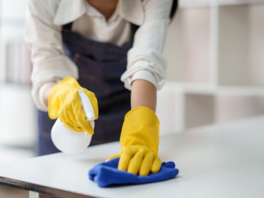 Cleaning Services