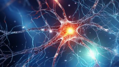 Neural Connections With Energy Flow