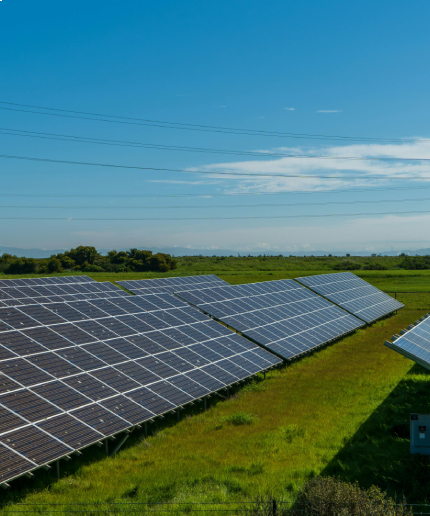 Utility-Scale Solar Farm Development